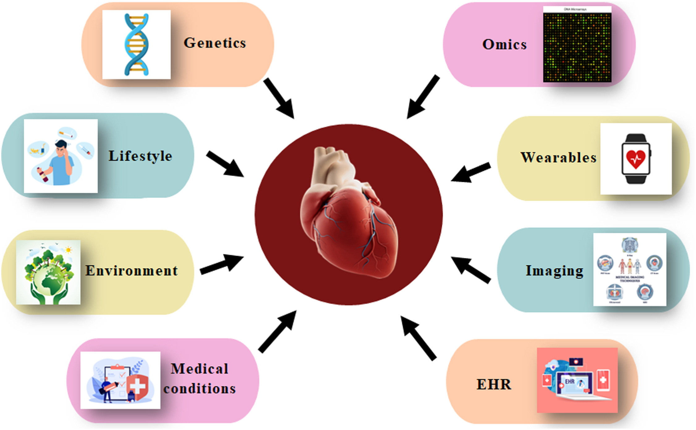 Cardiovascular Disease Prediction